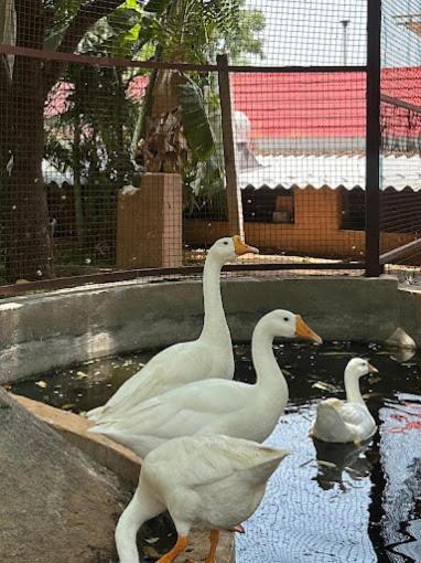 היידראבד Village Trails Resort מראה חיצוני תמונה